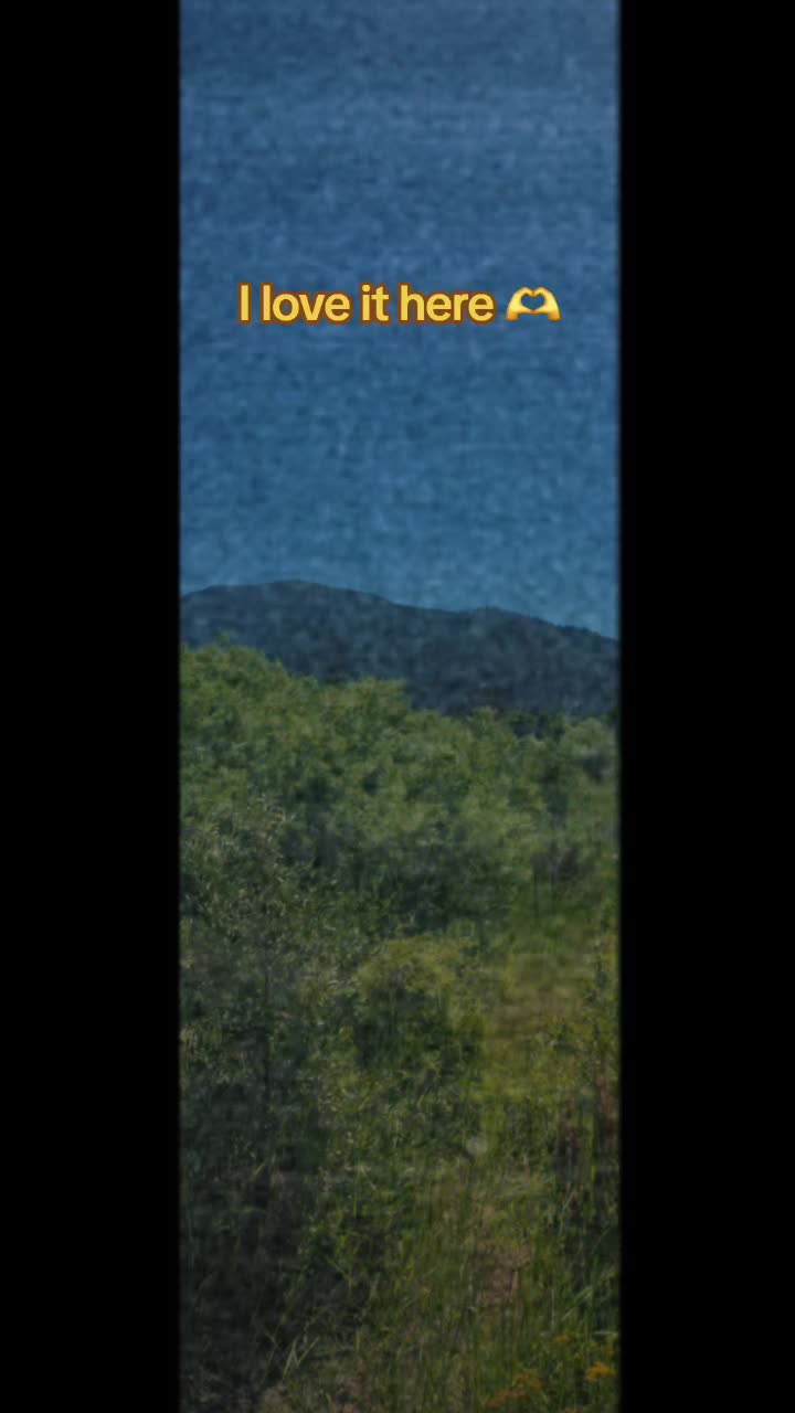 @𝔸𝔻𝔸𝕄 𝕃𝔼𝔼 𝟜𝟘𝟞