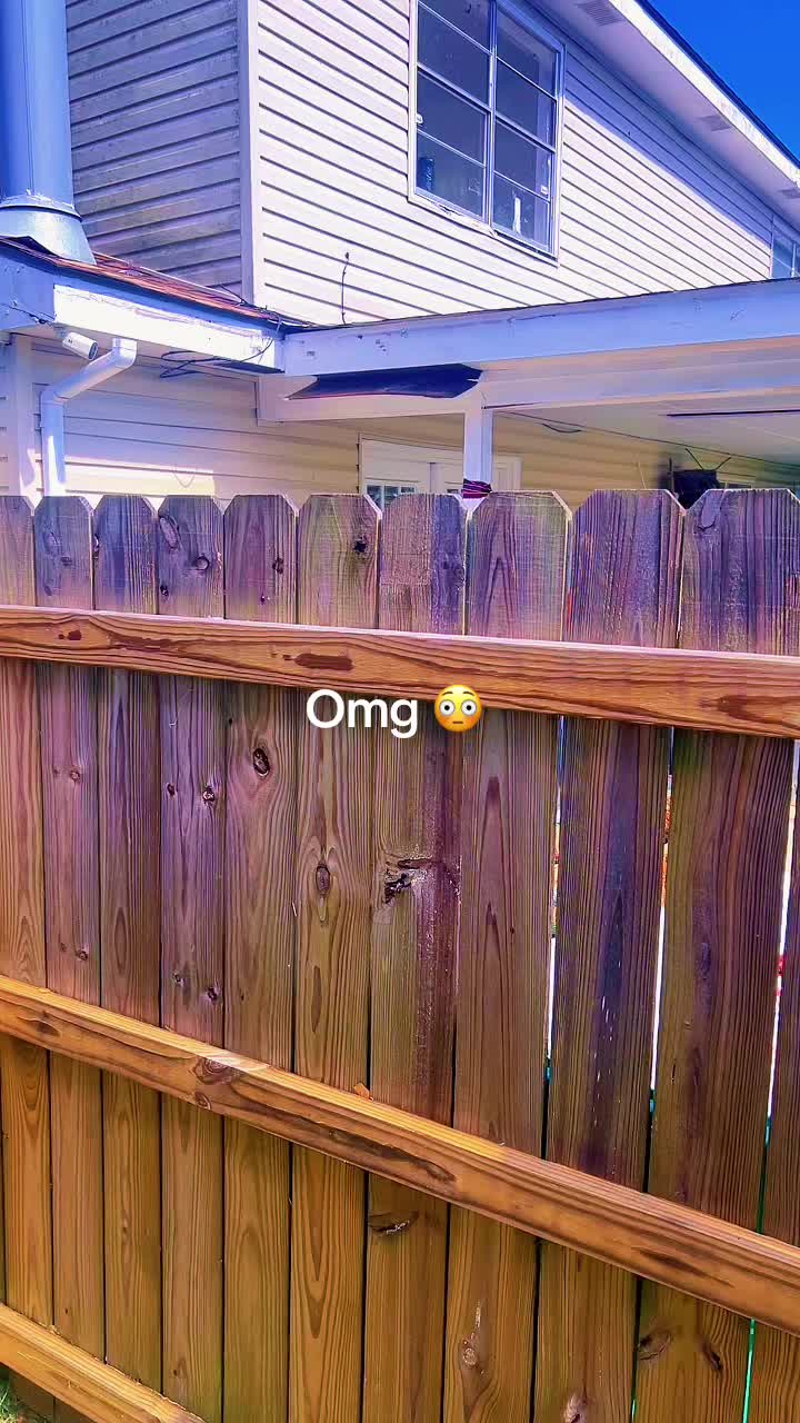 @🌴👑TikTok kynnngvibetv👑🌴