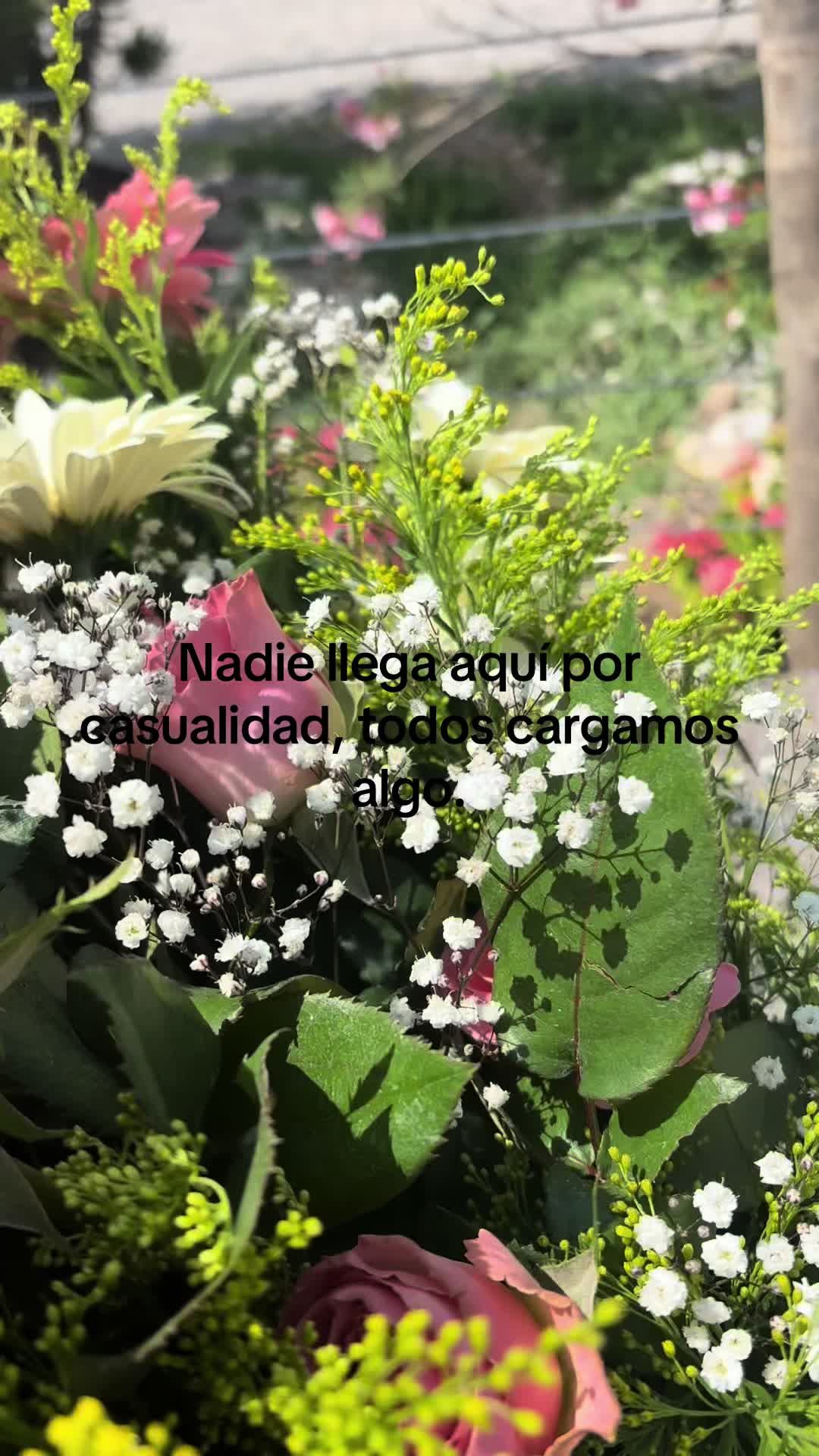 @Lupita Zarazua🎀