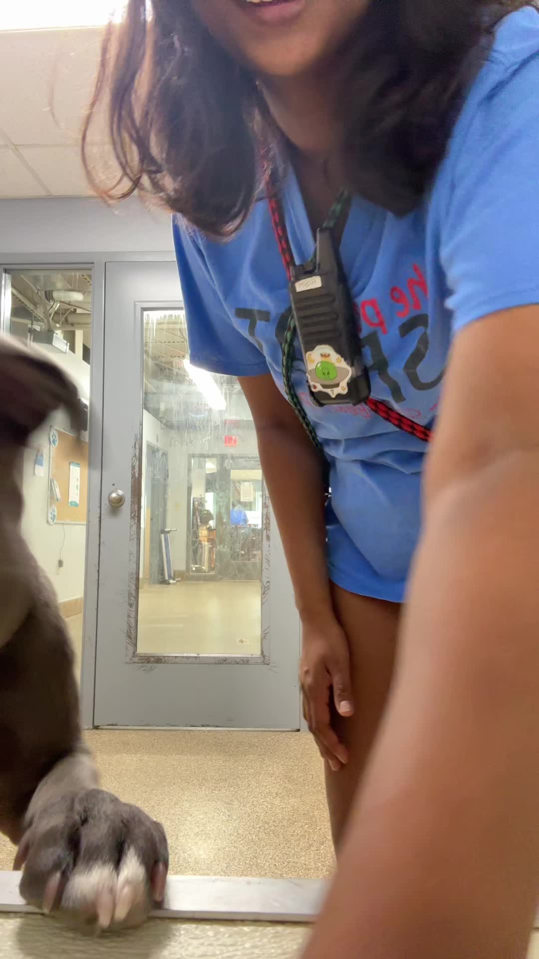 @Drivesafelyplz