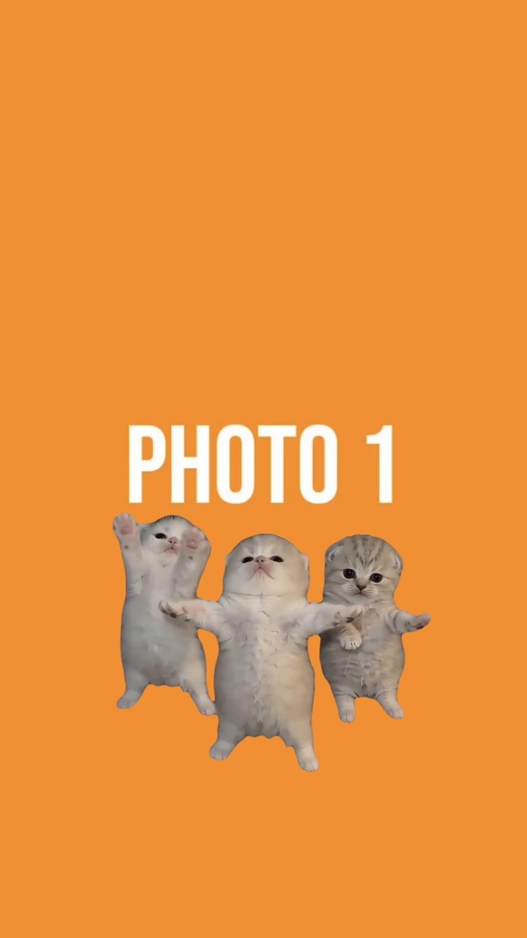 @Template CapCut local