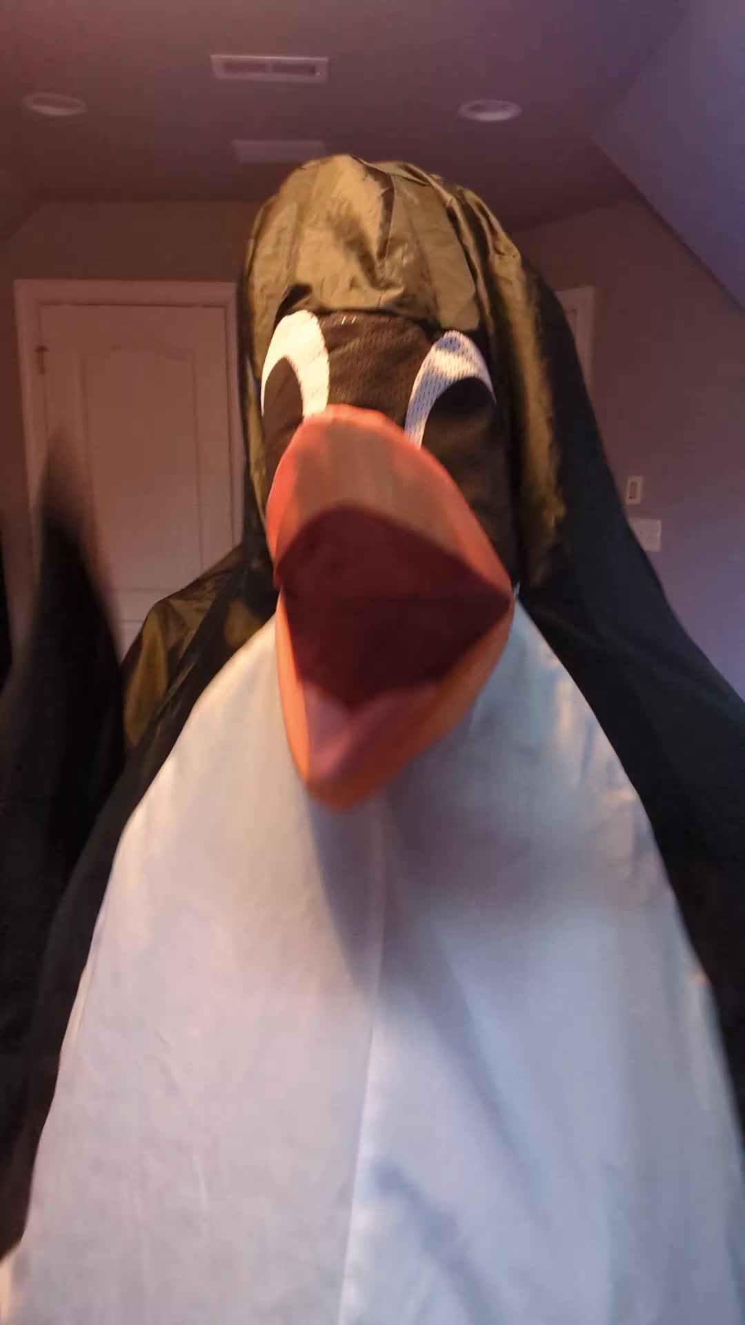 @Flipper
