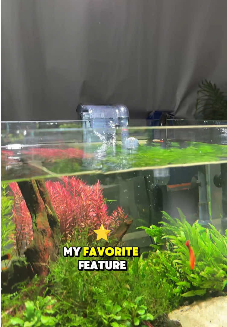 @AQQA Aquarium Store