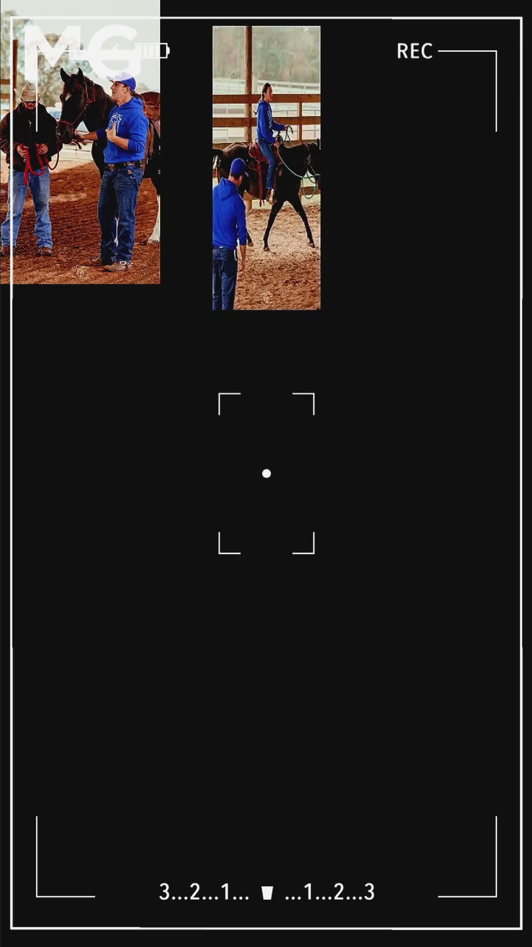@Horse Help