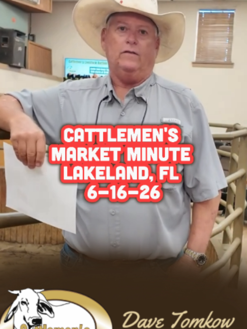 @Cattlemen’s Livestock Market