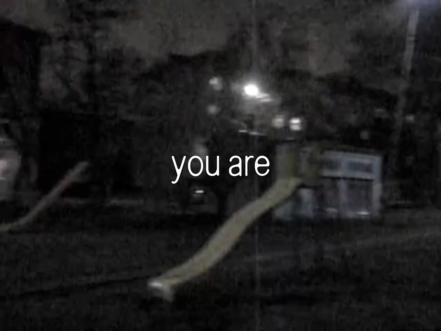 @bug