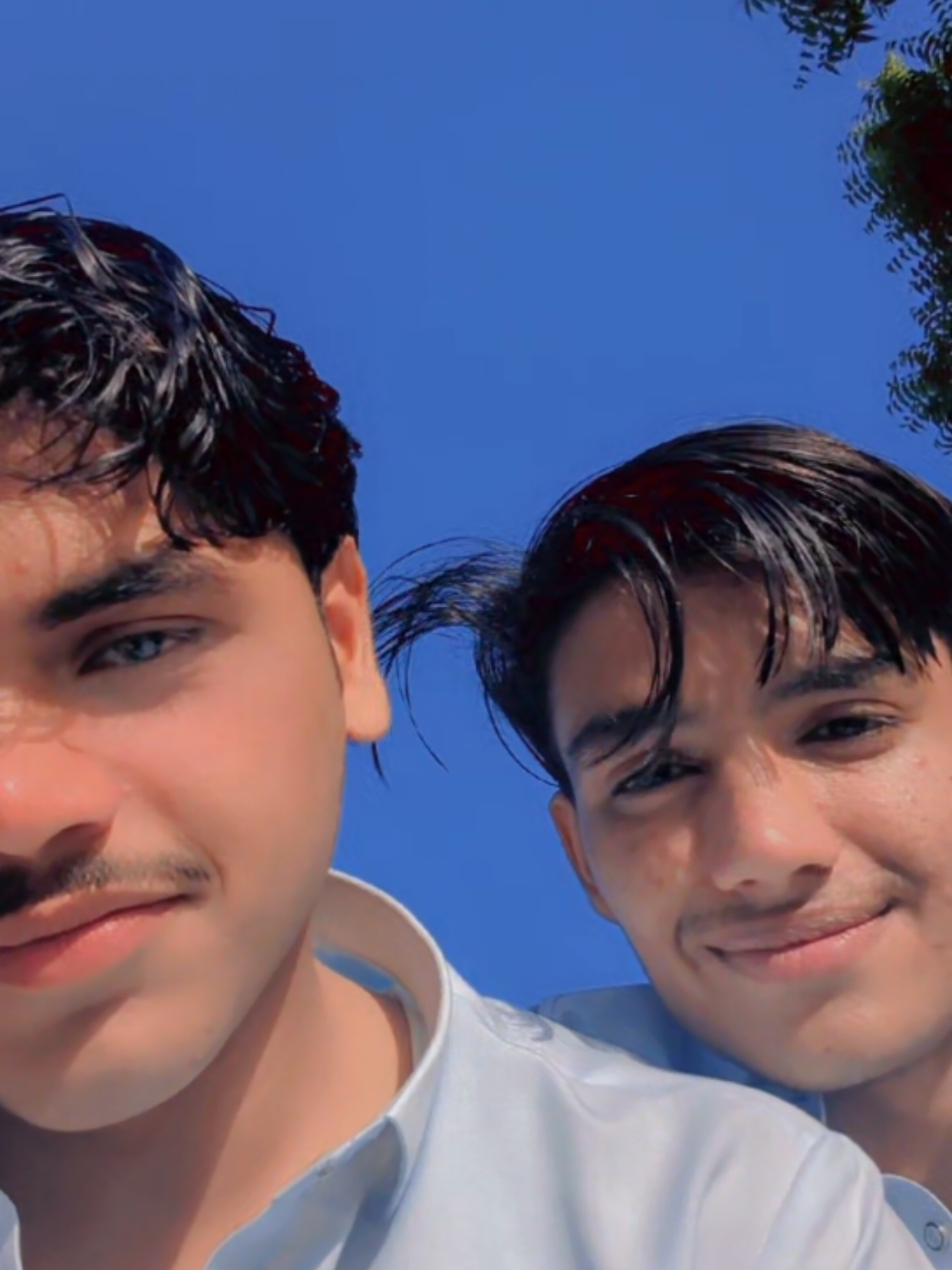 @SAMI