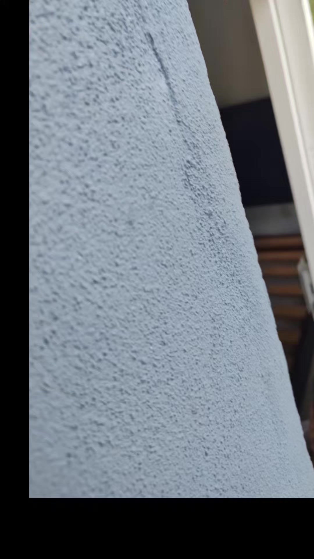 @michillona1234