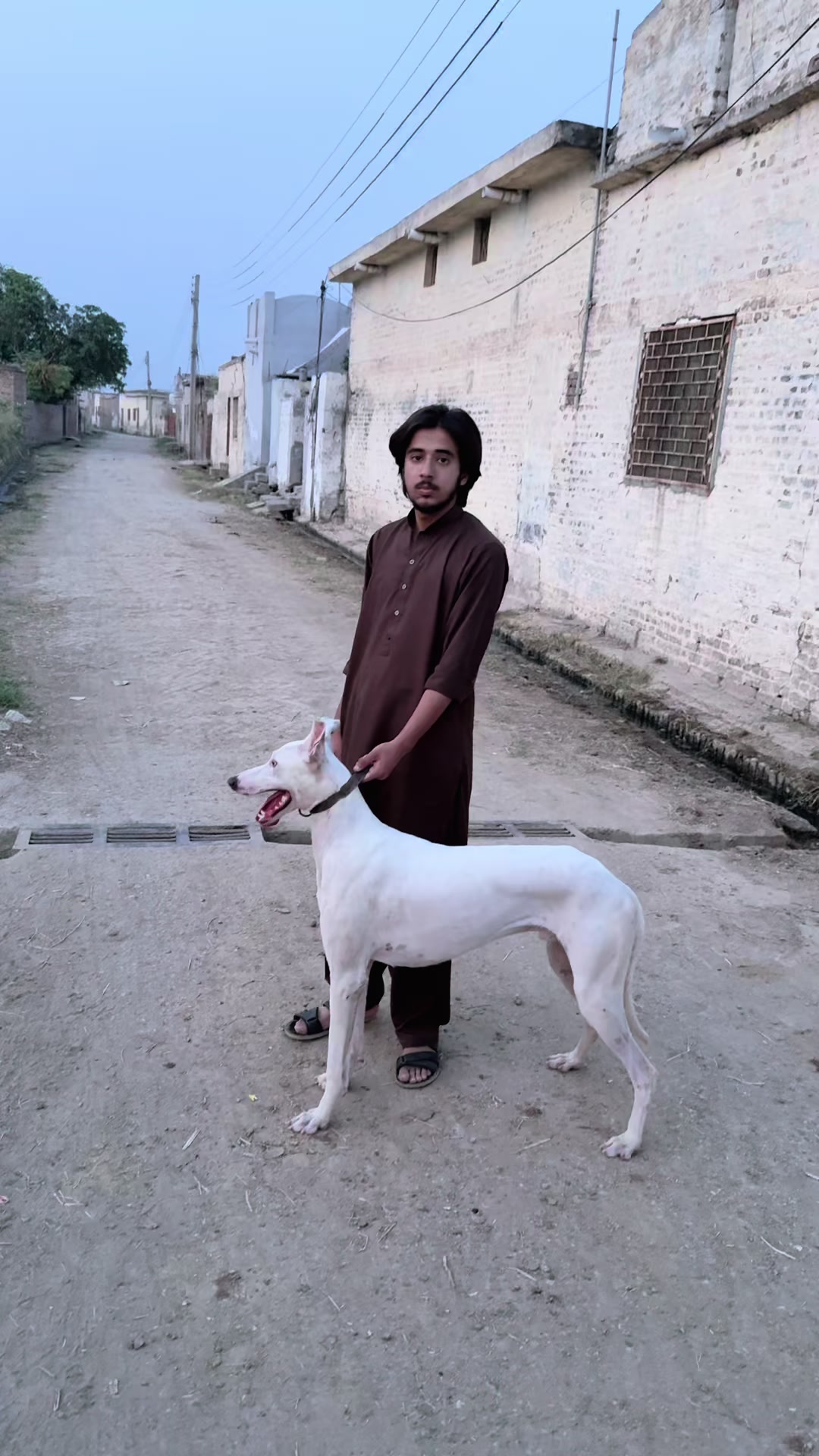 @چوہدری حمزہ گجر🐾