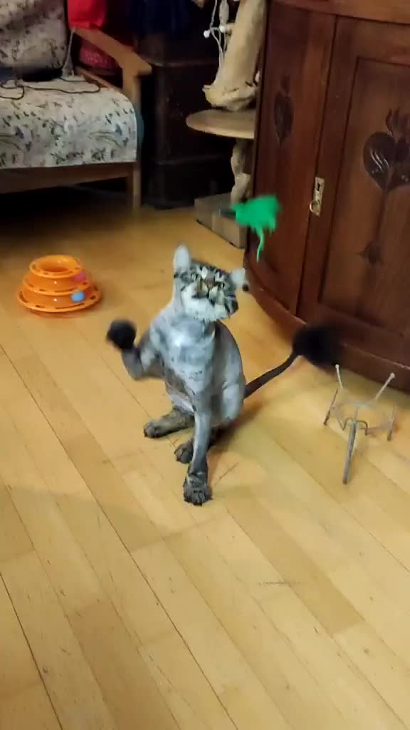 @user210029 фëдор