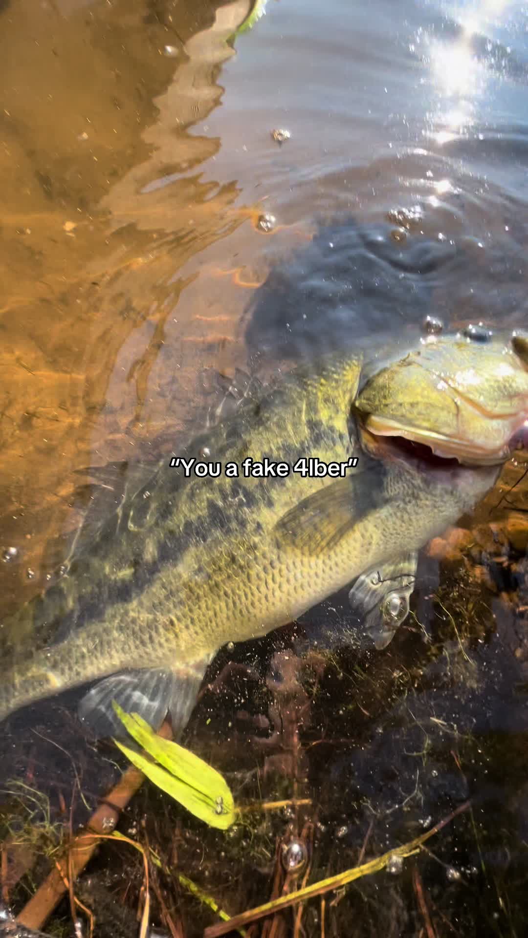 @Joey fishing_860