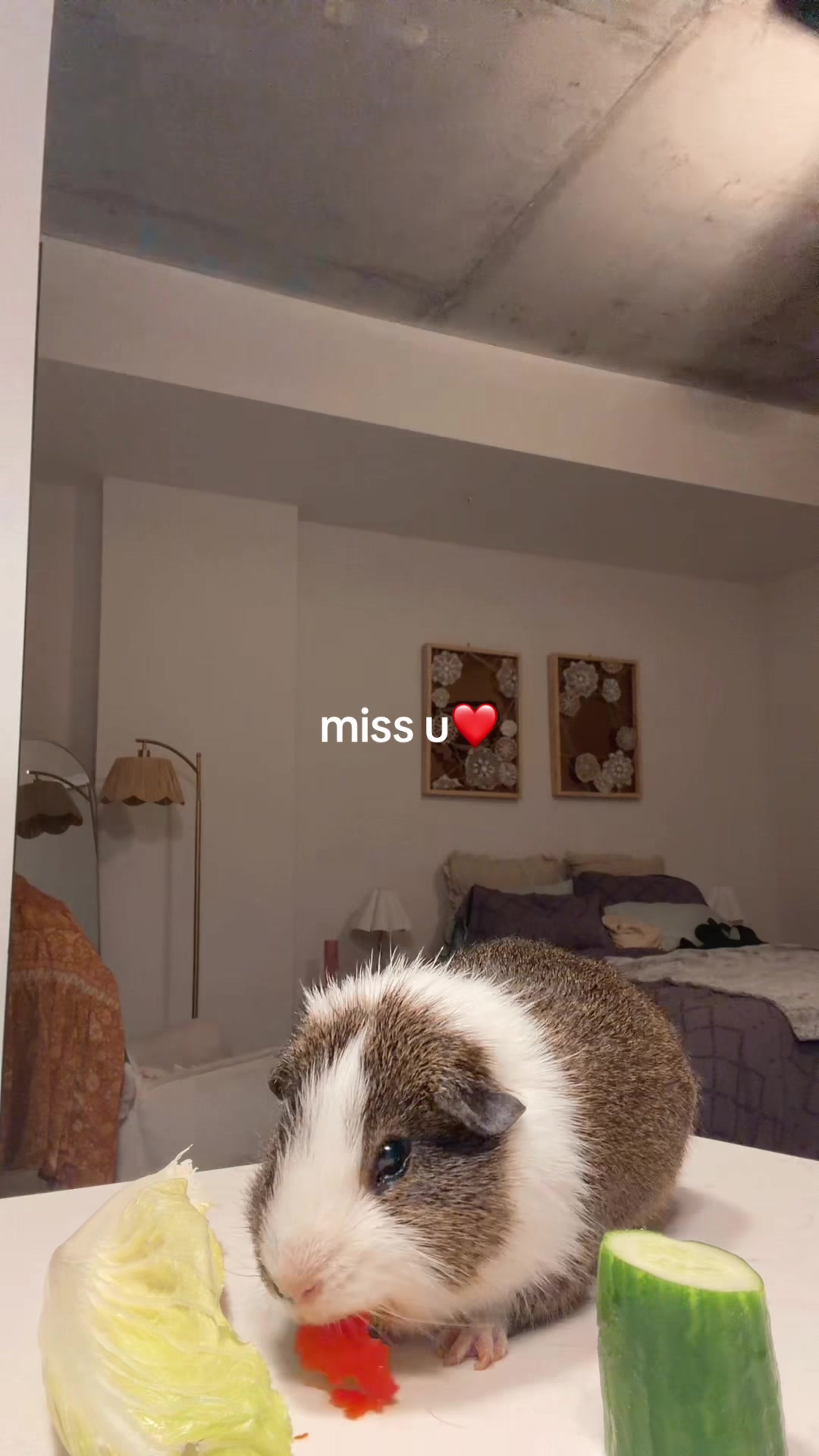 @ceciliaaa