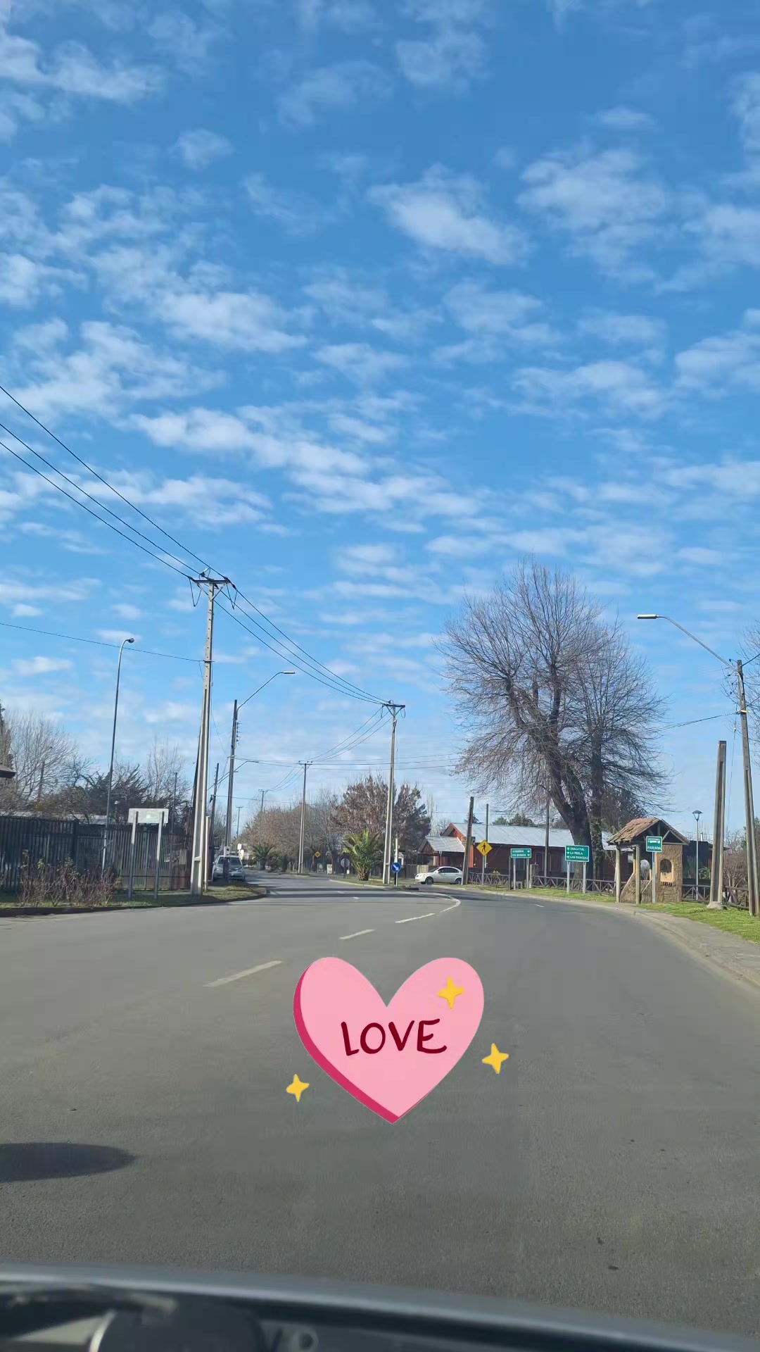 @silvia10302