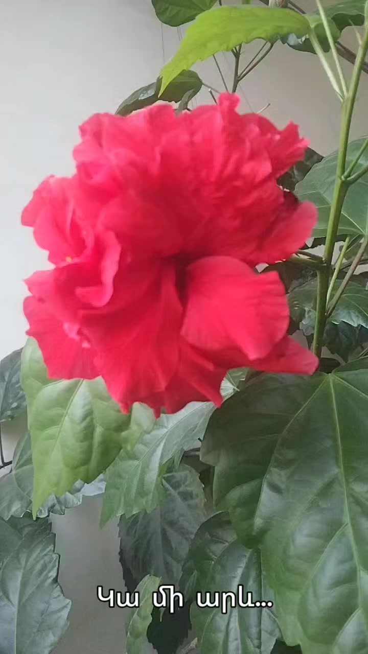 @Артур