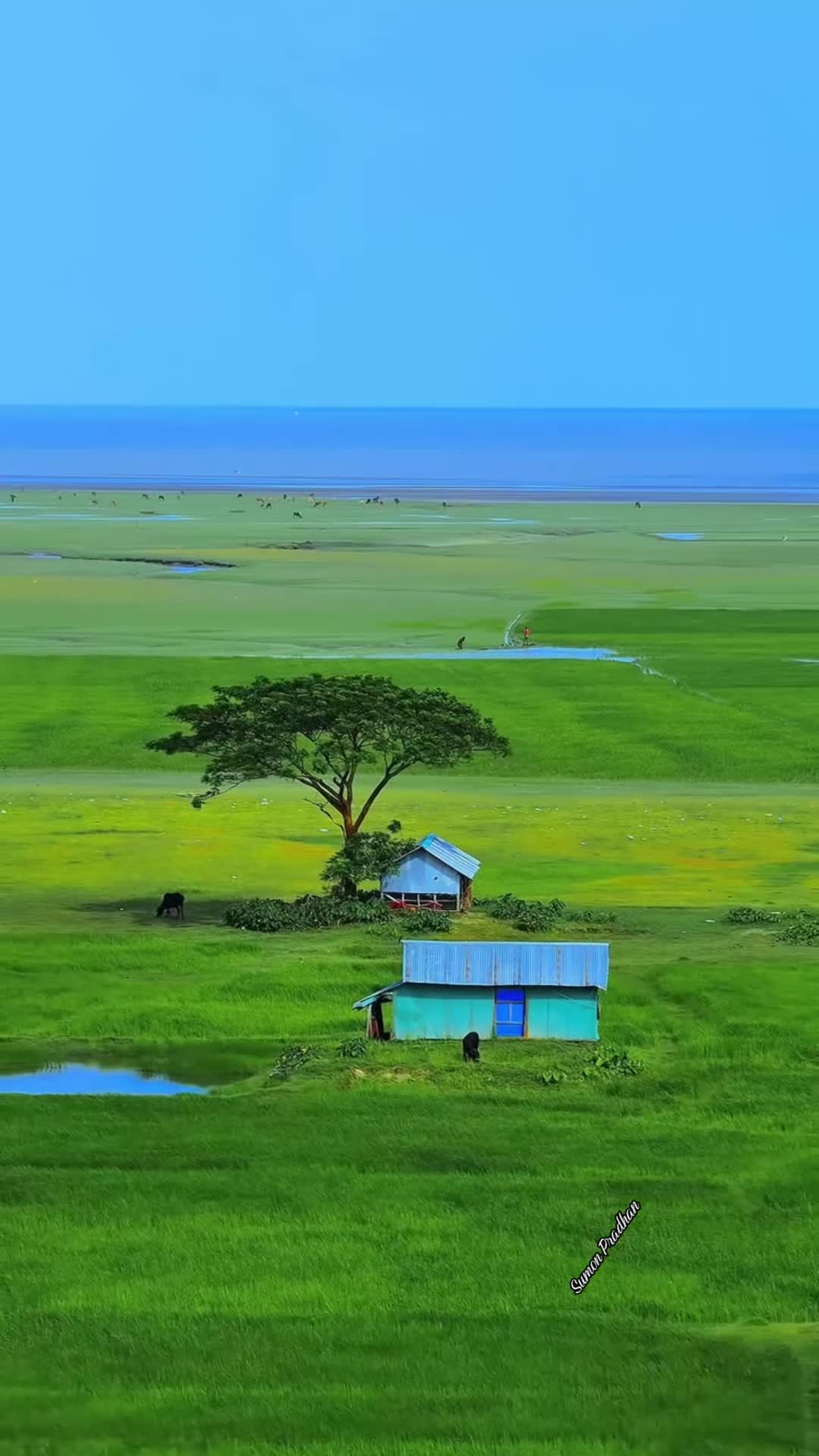 @সুমন প্রধান 🇧🇩🛬🇱🇷