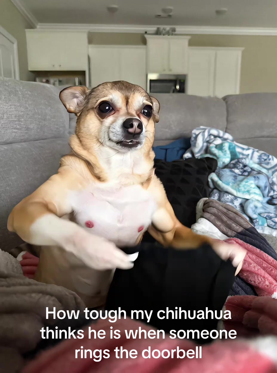 @Charlotte