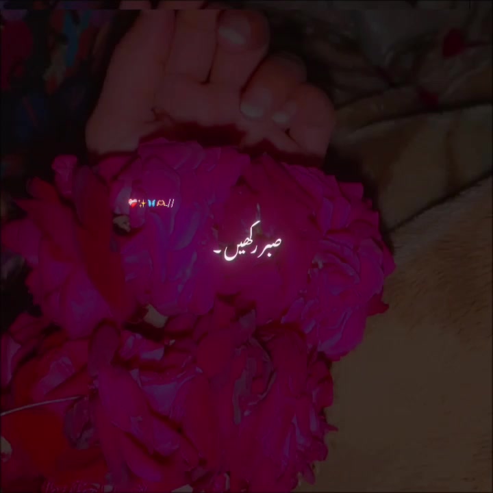 @MDmaher