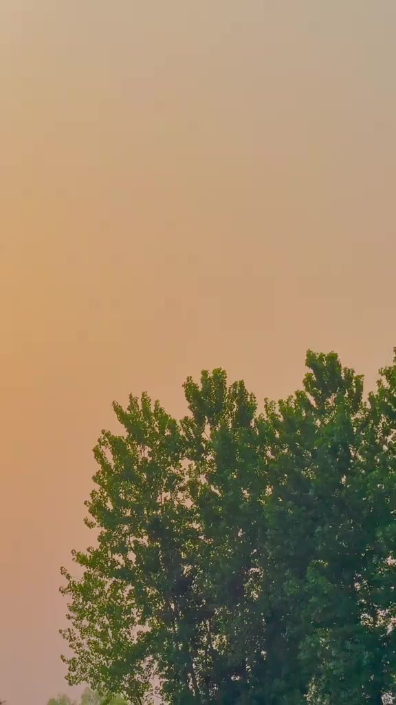 @𓄂𝕄𝕒𝕙𝕞𝕠𝕠𝕕 ✈️👈💔