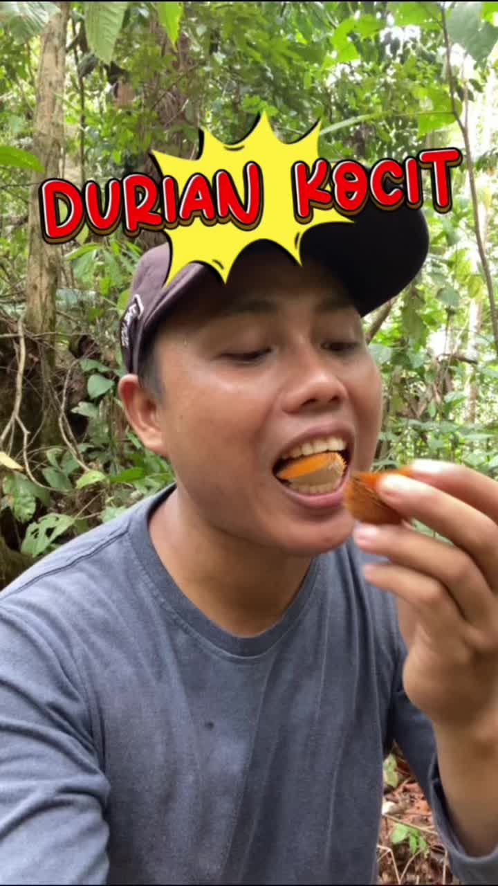 @Borneo Forester