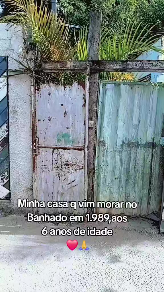 @🌻Vi Banhado🌻 SJC❤️🙏
