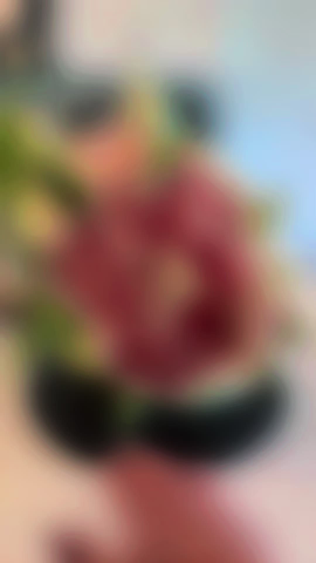 @elchacho35