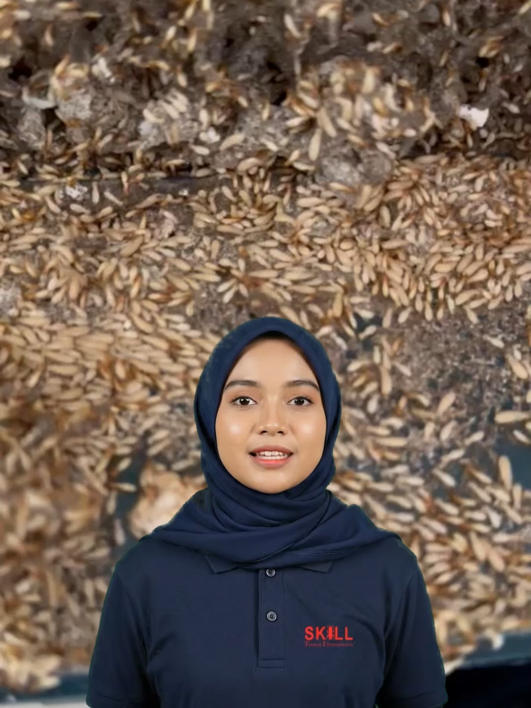 @Skill Termite MY