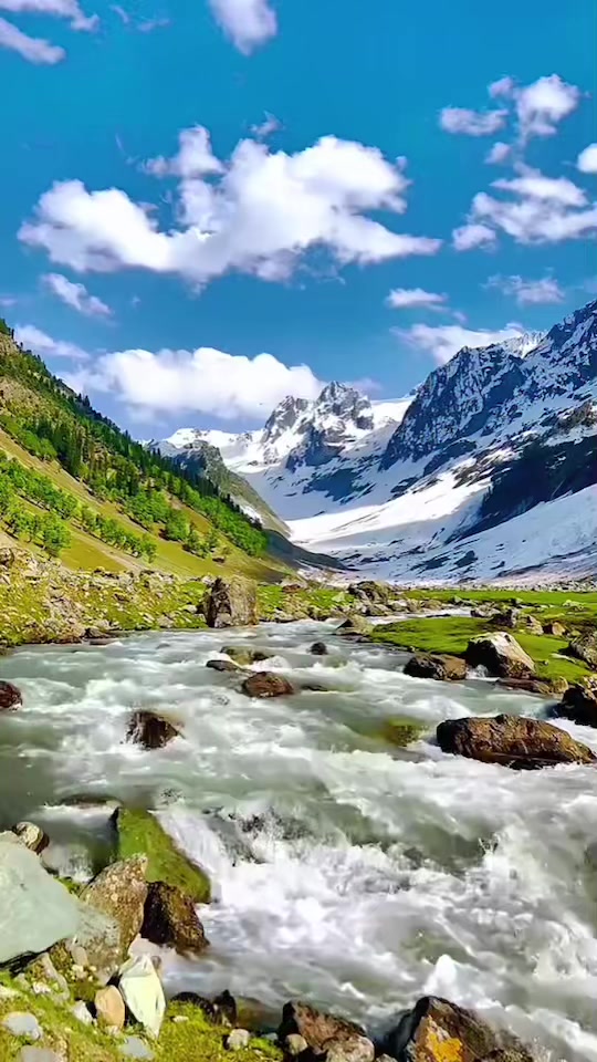 @𝓑𝓲𝓼𝓱𝓪𝓵 ♥️𝓹𝓪𝓵𝓹𝓪𝓵𝓲