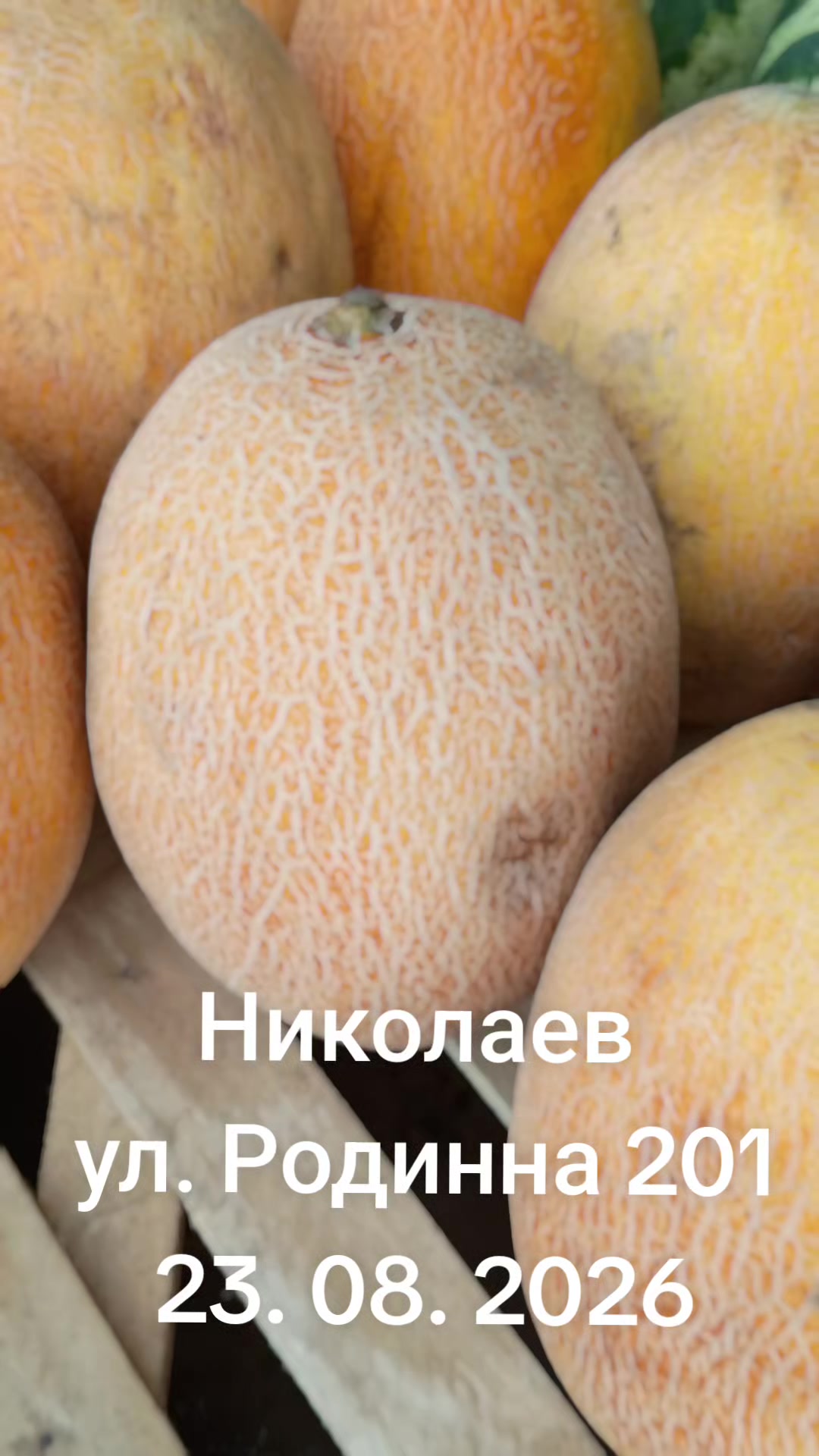 @IOSIF99999