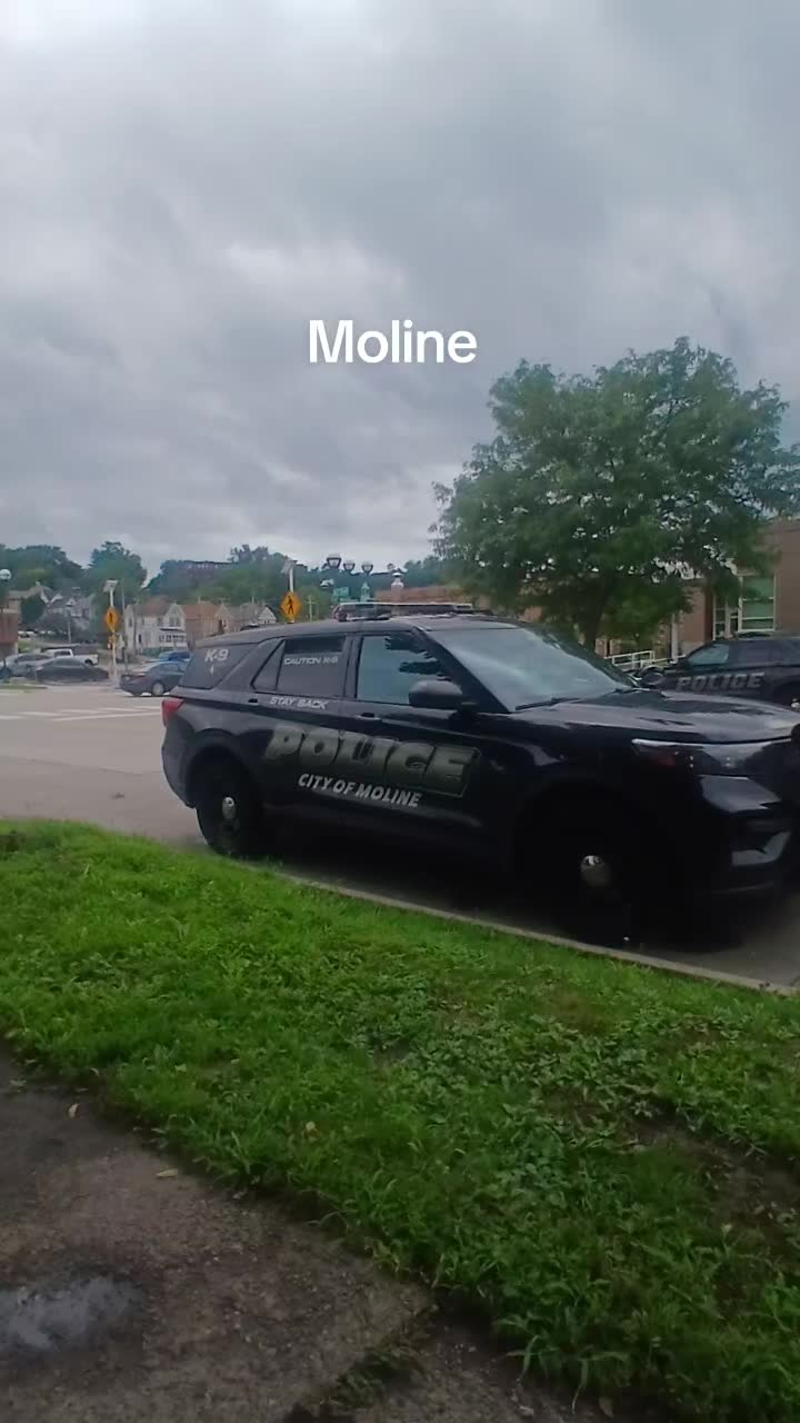 @Moline Watchout