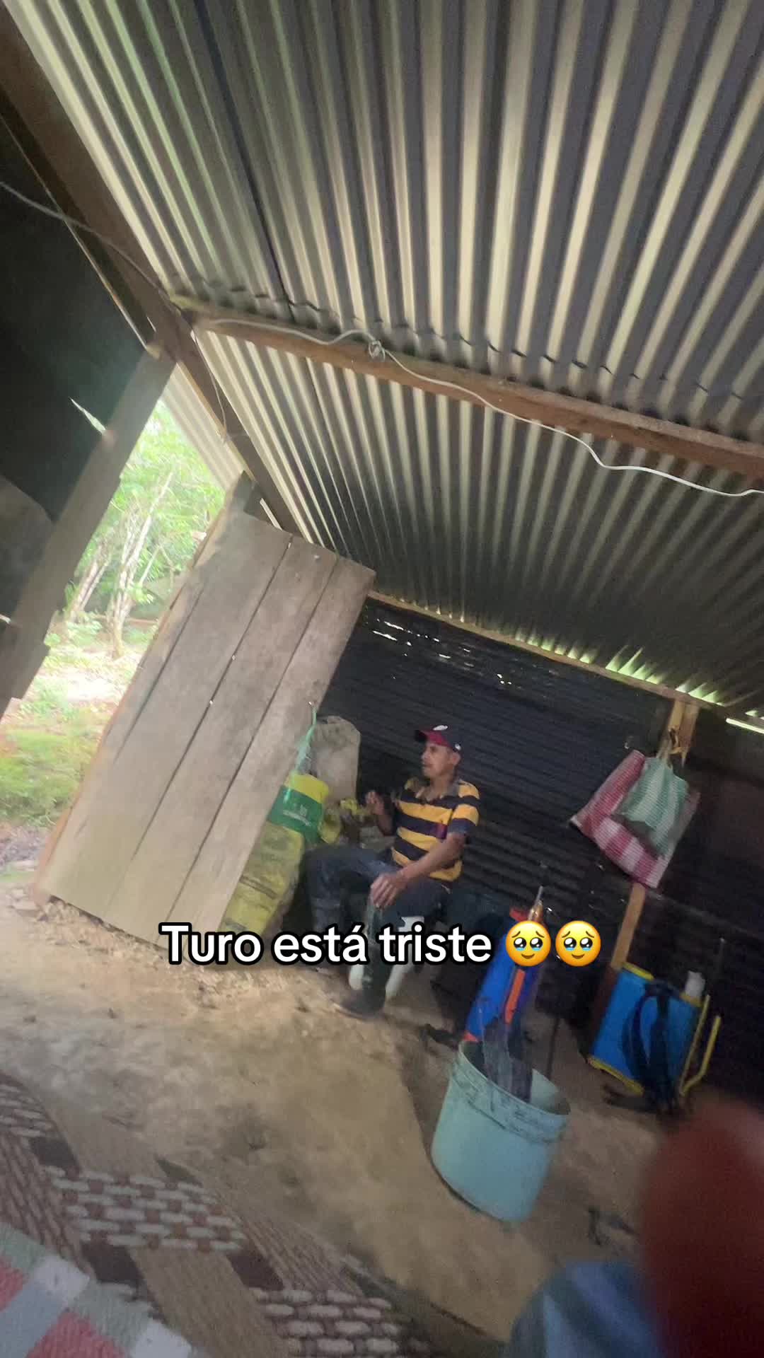@marco🐧
