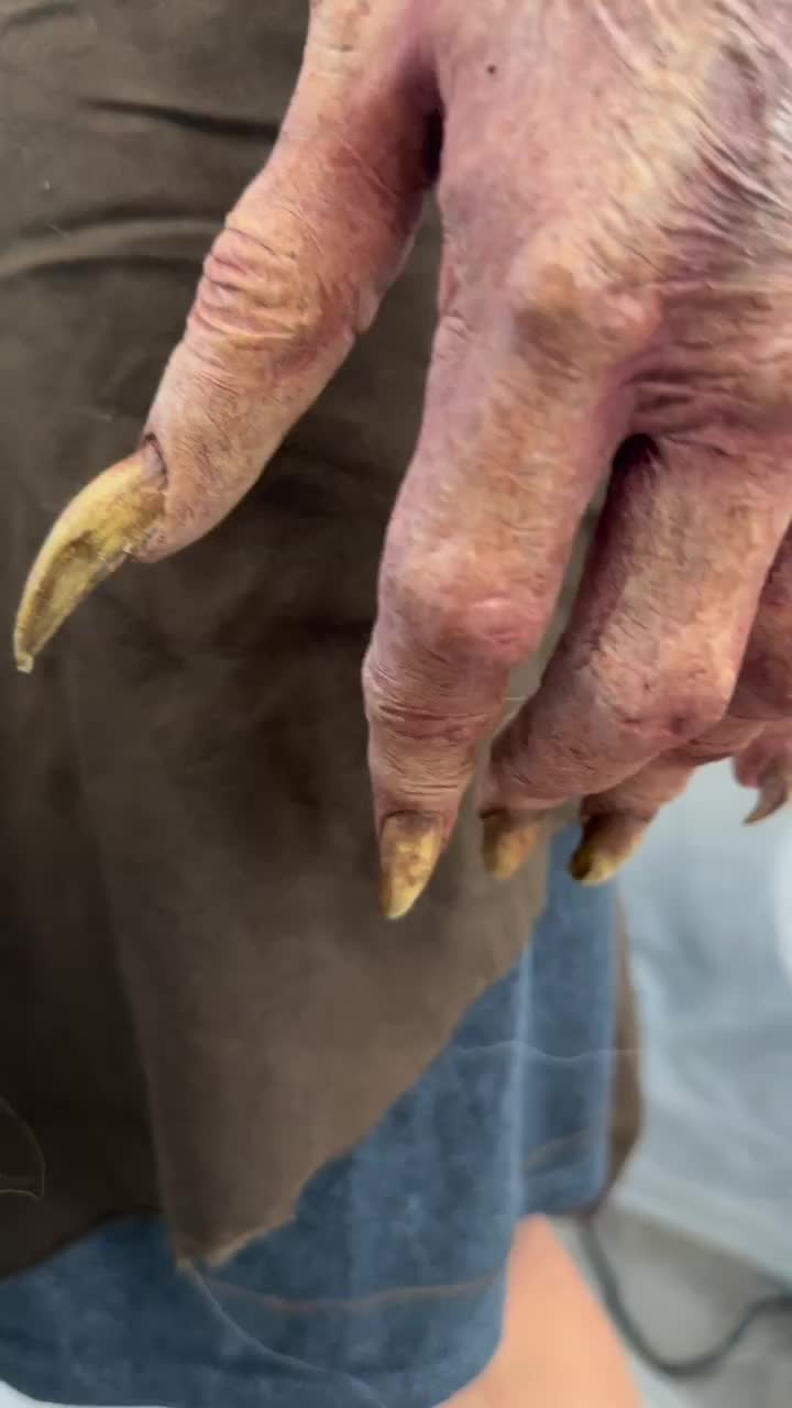 @Aɴɴᴀʙᴇʟ