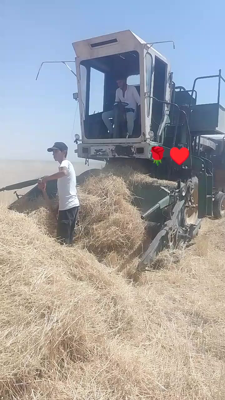 @ابو🪶⍣⃟ــشوق𓅓𓆩𝟓𝟏𝟓𓆪