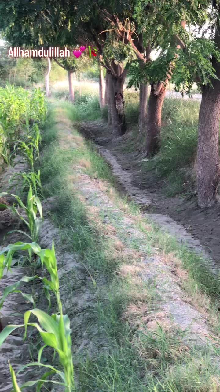 @Bajwa 423 آلہ
