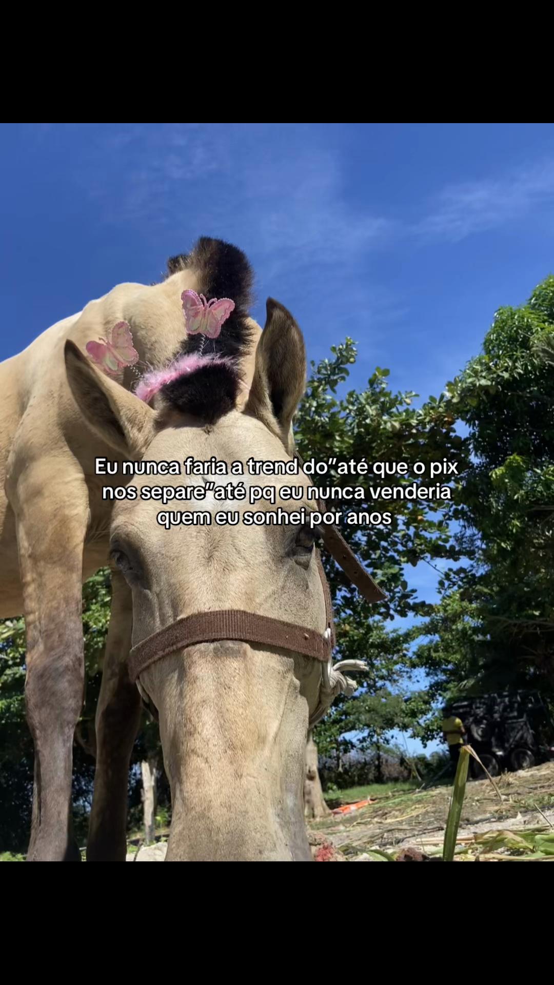 @Pᥱ́r᥆ᥣᥲ ᥱ ᥴᥲριtᥲ̃᥆