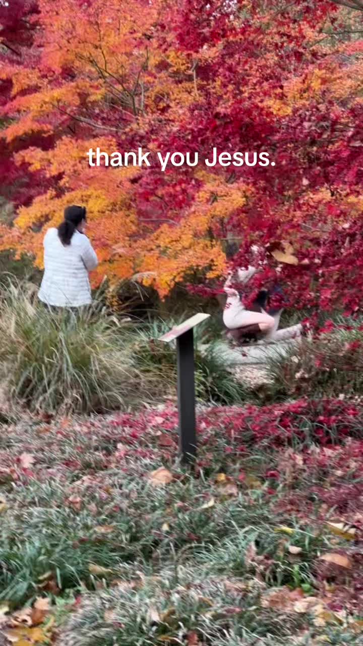 @madi.ressler