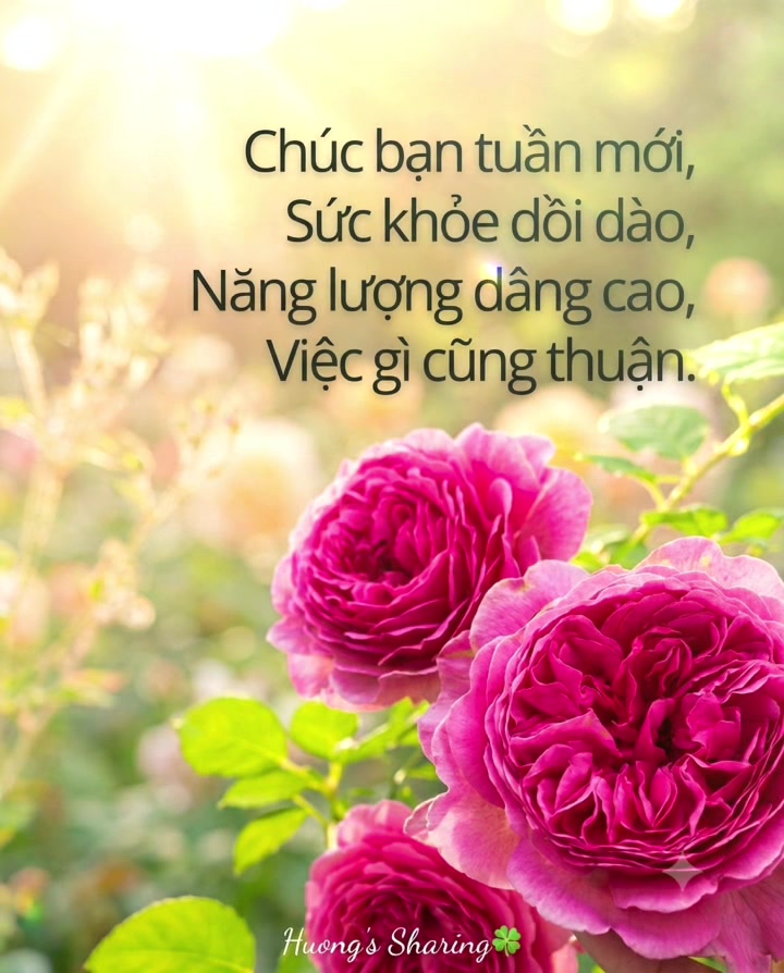 @Hương🍀