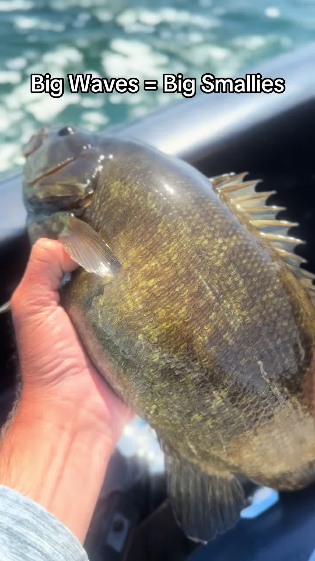 @evan_whitefishing