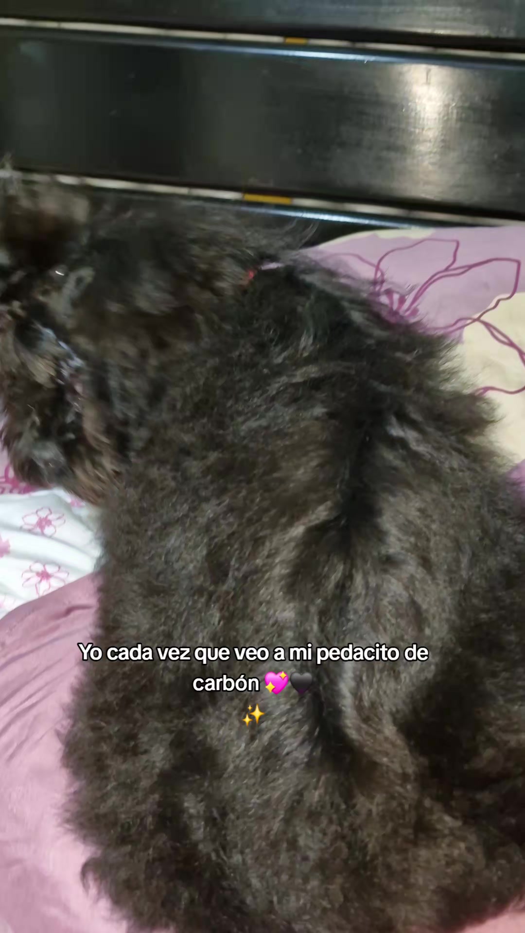 @Luz Ramírez