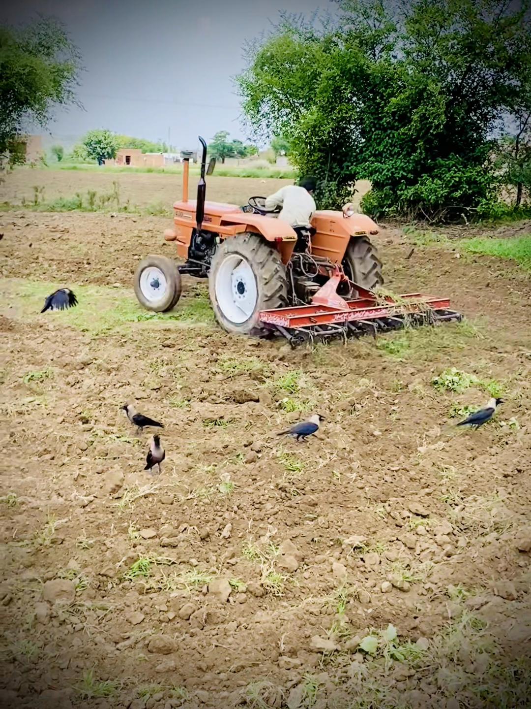 @اعوان زرعی فارم 🌾