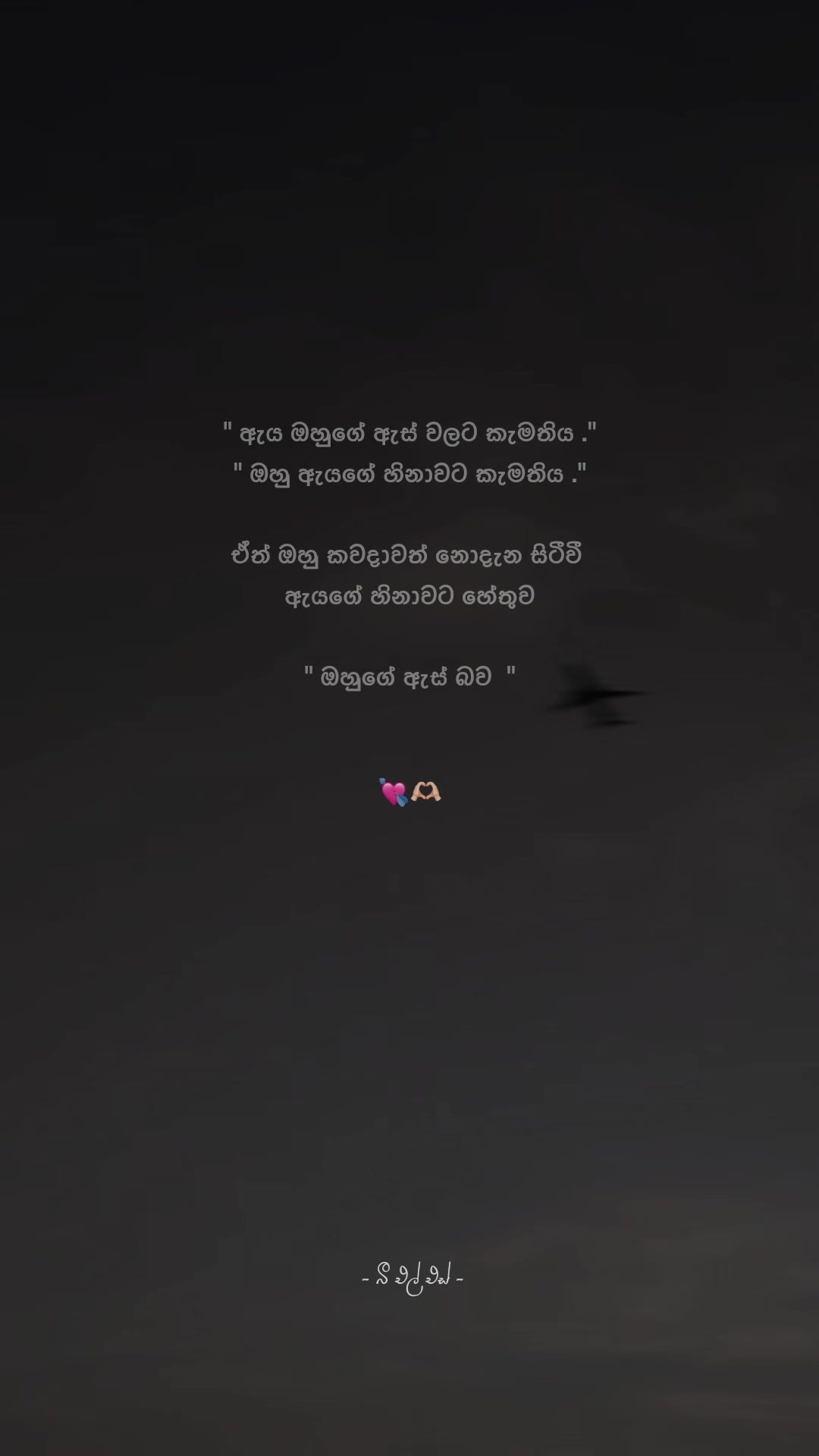 @𝒯𝒽𝑒 𝐵𝓁𝓈 ♡ !