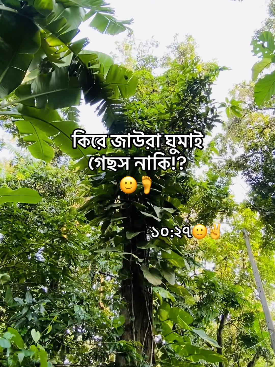 @টিক-টিকি