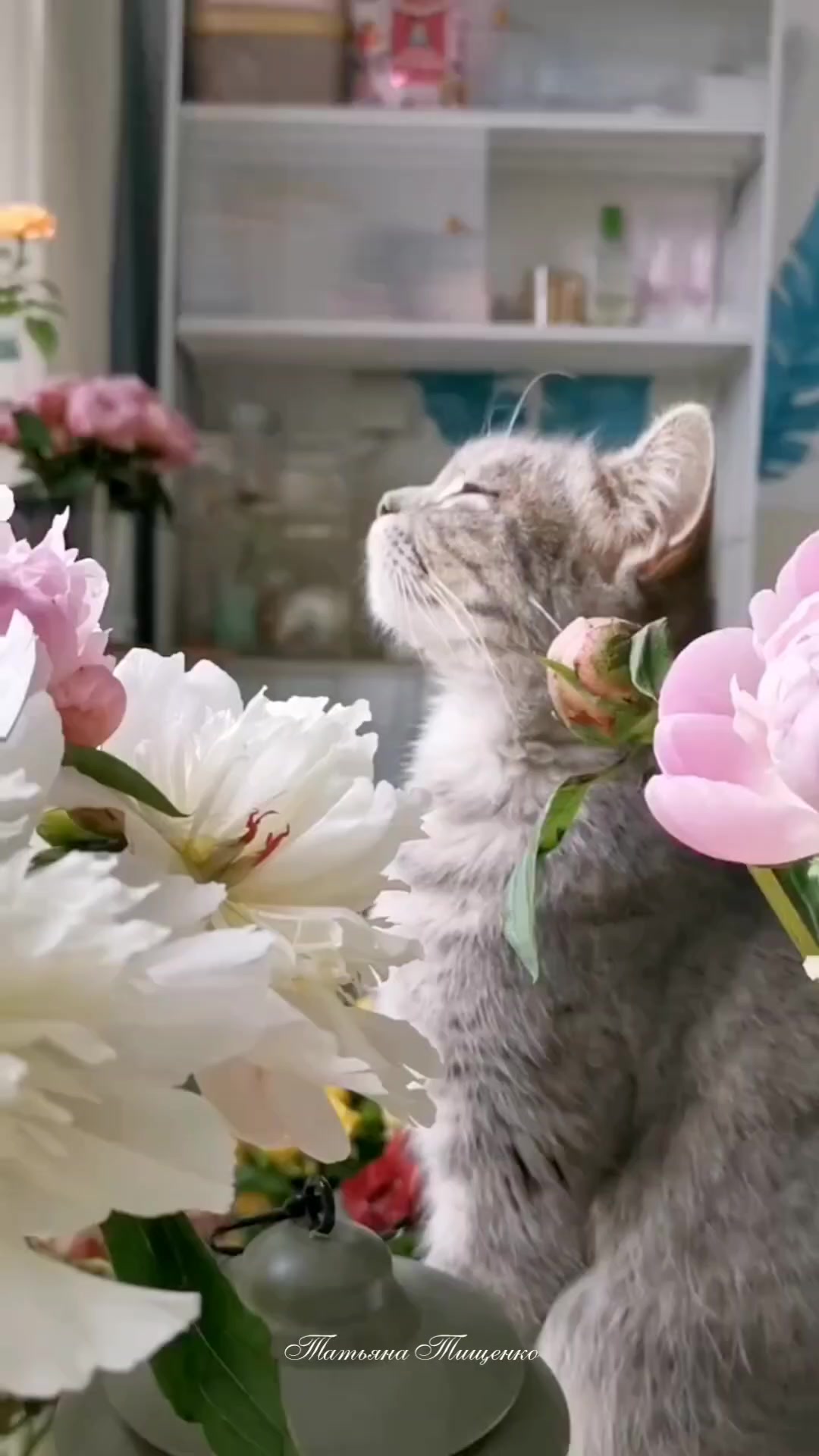 @Татьяна