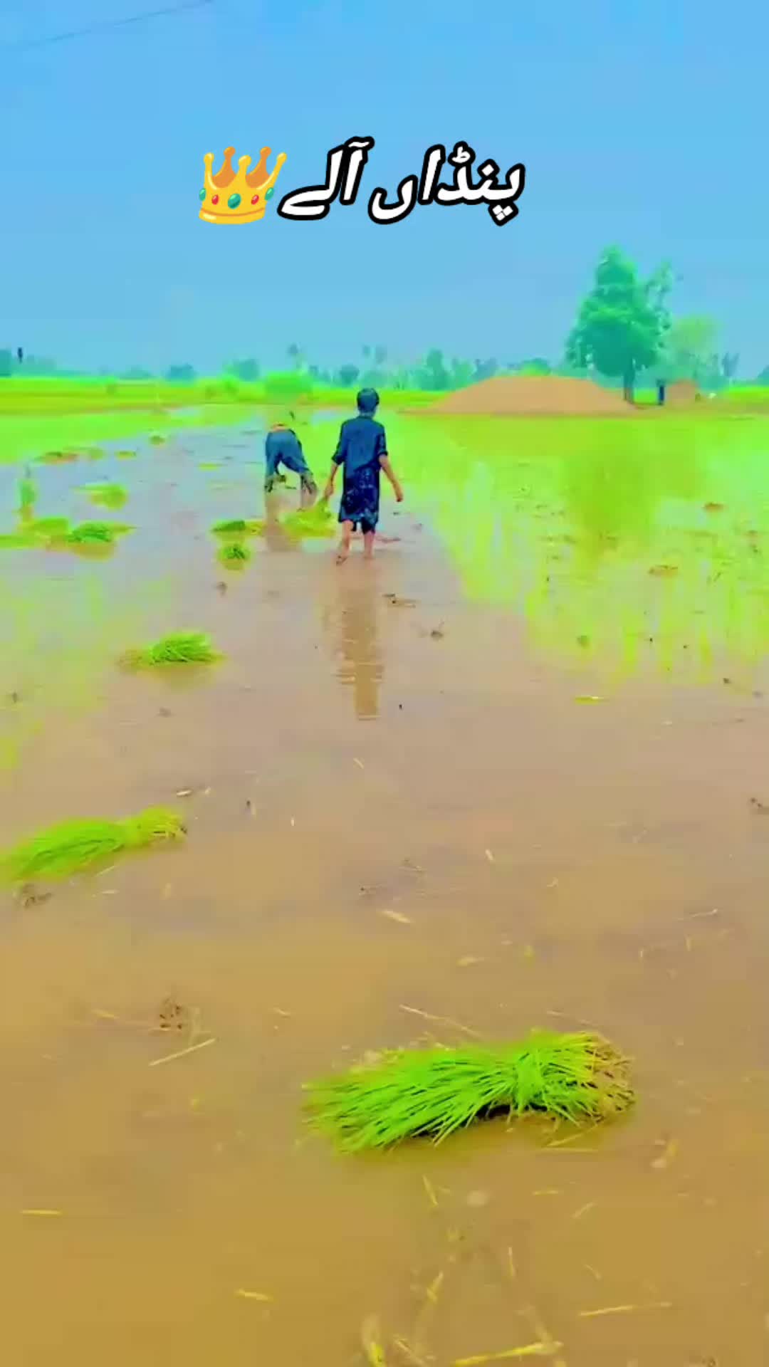 @𝗥𝗮𝗻𝗮 𝗨𝘀𝗺𝗮𝗻❤💫