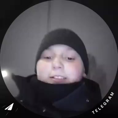 @dalboeb891
