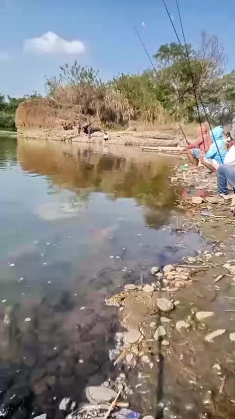 @Gasle Fishing