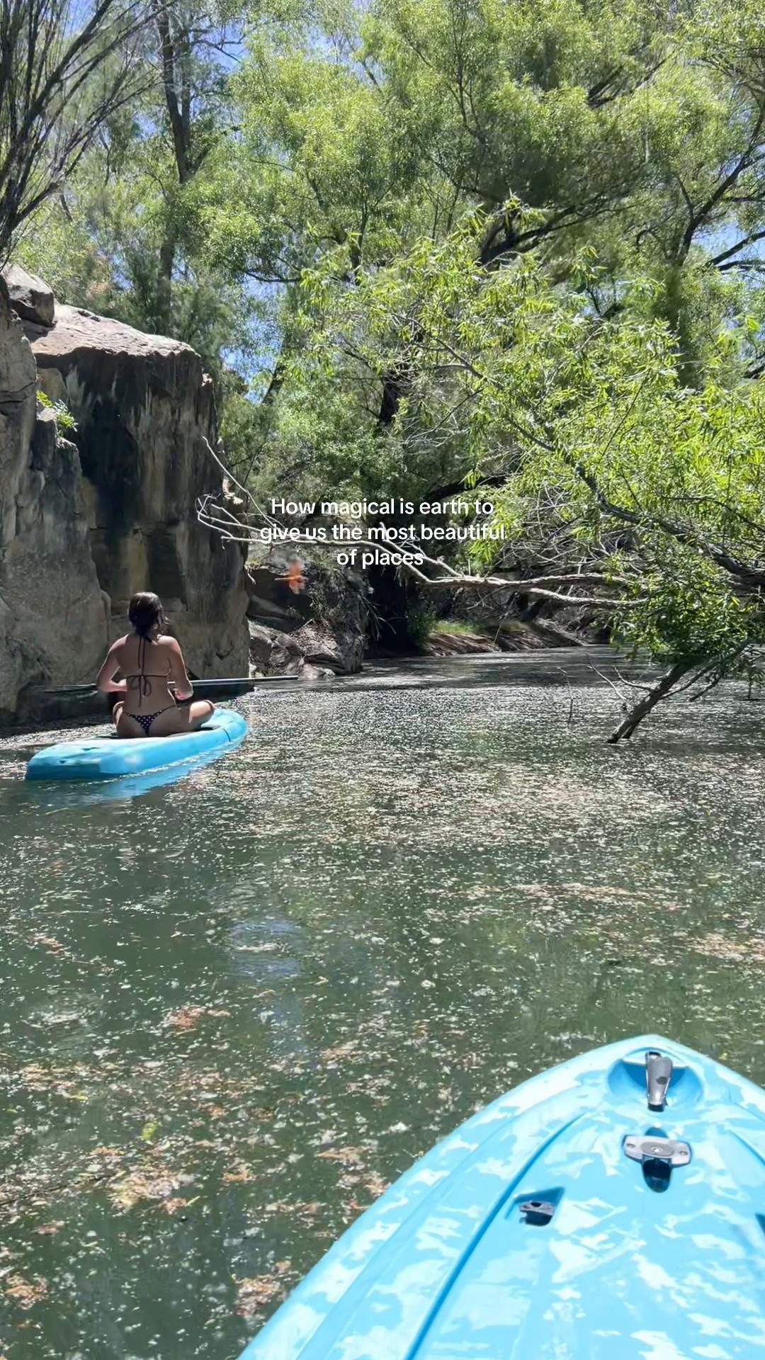 @berty☮️