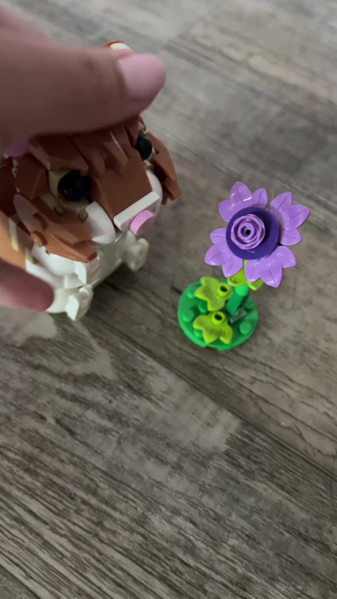 @4stro0nyx