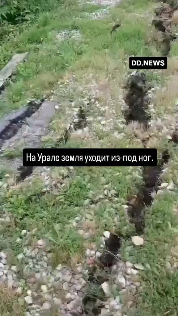 @irina_d_62