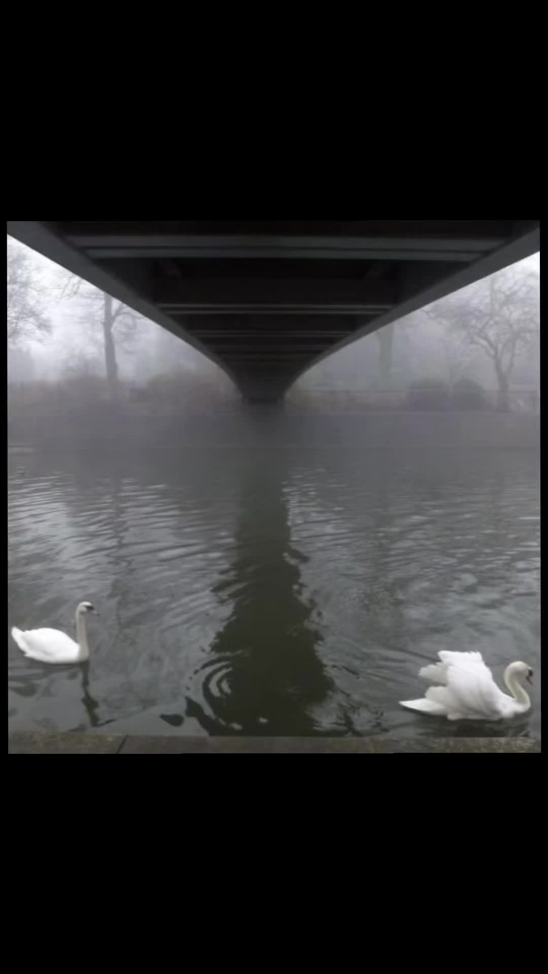 @𝓵𝓲𝔃𝔃𝓲𝓮 ౨ৎ