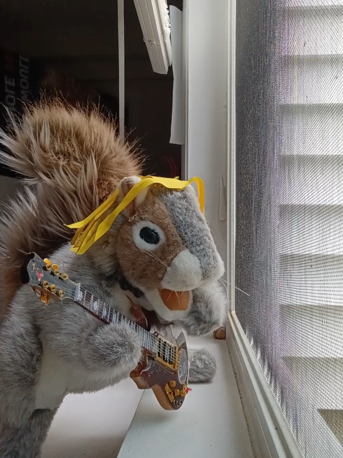 @Charles The Squirrel